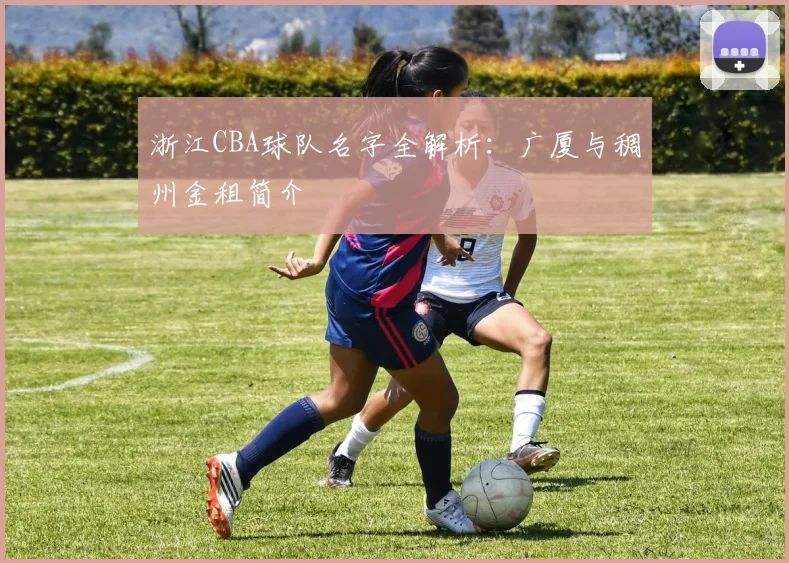 浙江CBA球队名字全解析：广厦与稠州金租简介